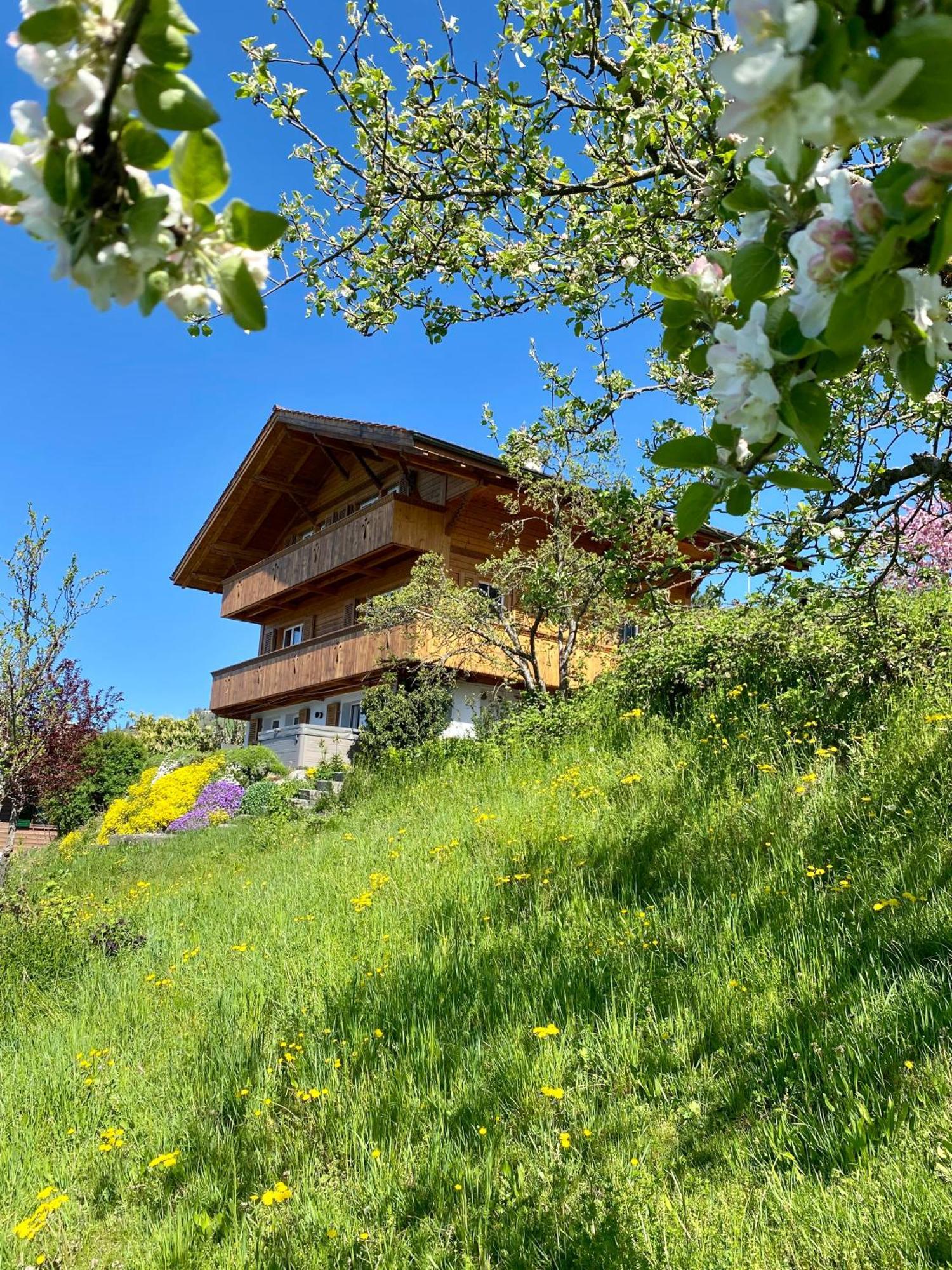 Chalet Egglen "Typical Swiss House, Best Views, Private Jacuzzi" Sigriswil Exterior foto