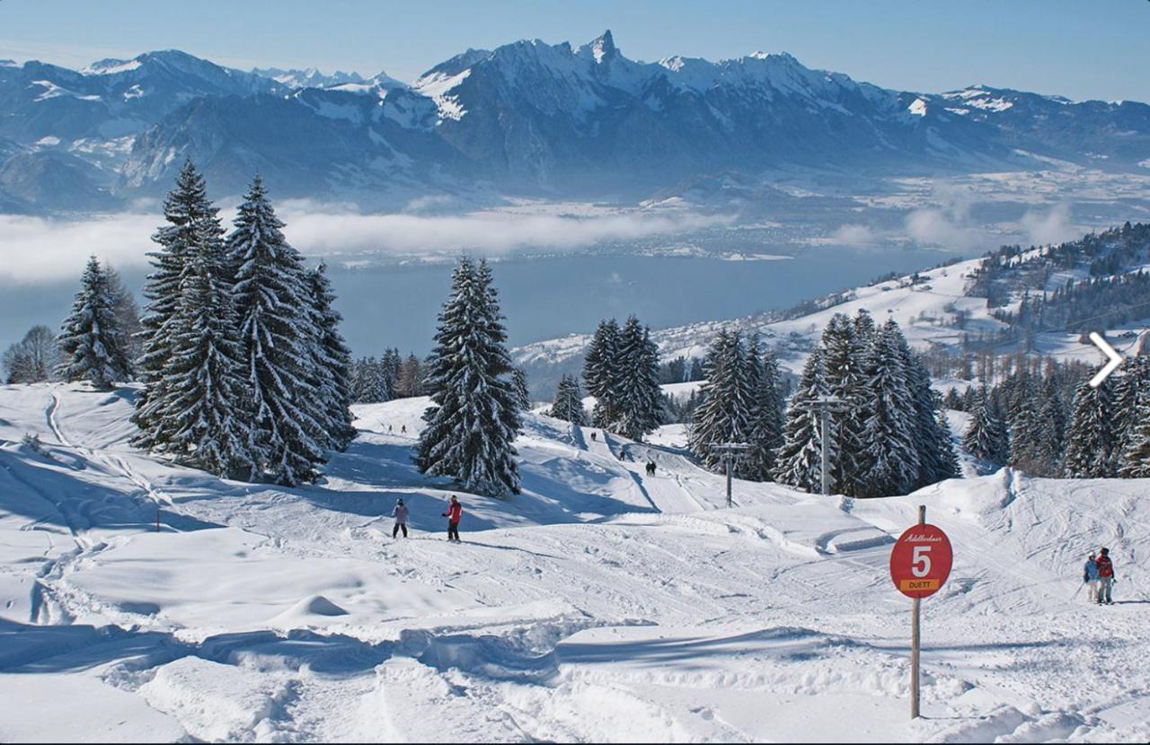 Chalet Egglen "Typical Swiss House, Best Views, Private Jacuzzi" Sigriswil Exterior foto