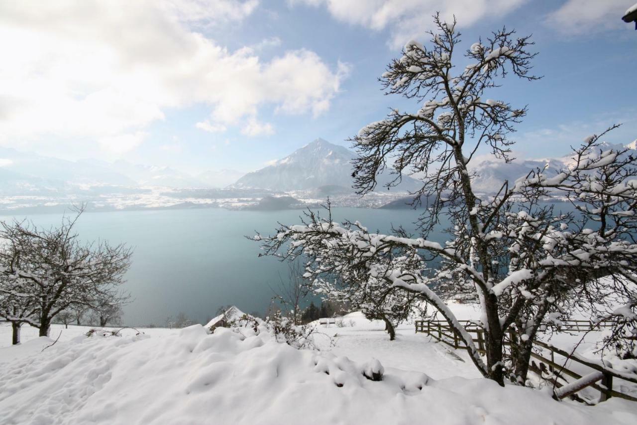 Chalet Egglen "Typical Swiss House, Best Views, Private Jacuzzi" Sigriswil Exterior foto