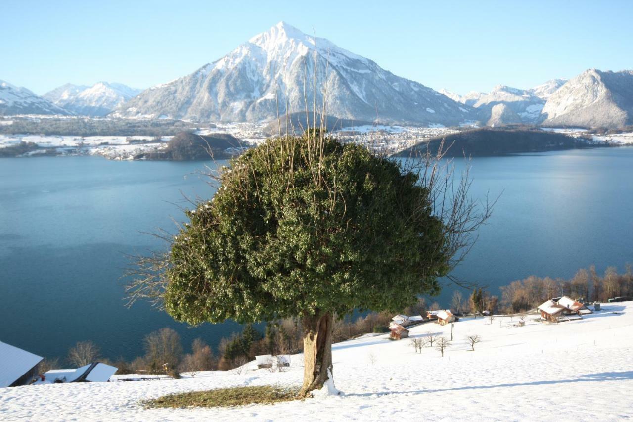 Chalet Egglen "Typical Swiss House, Best Views, Private Jacuzzi" Sigriswil Exterior foto