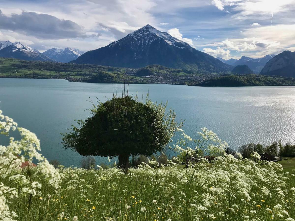Chalet Egglen "Typical Swiss House, Best Views, Private Jacuzzi" Sigriswil Exterior foto